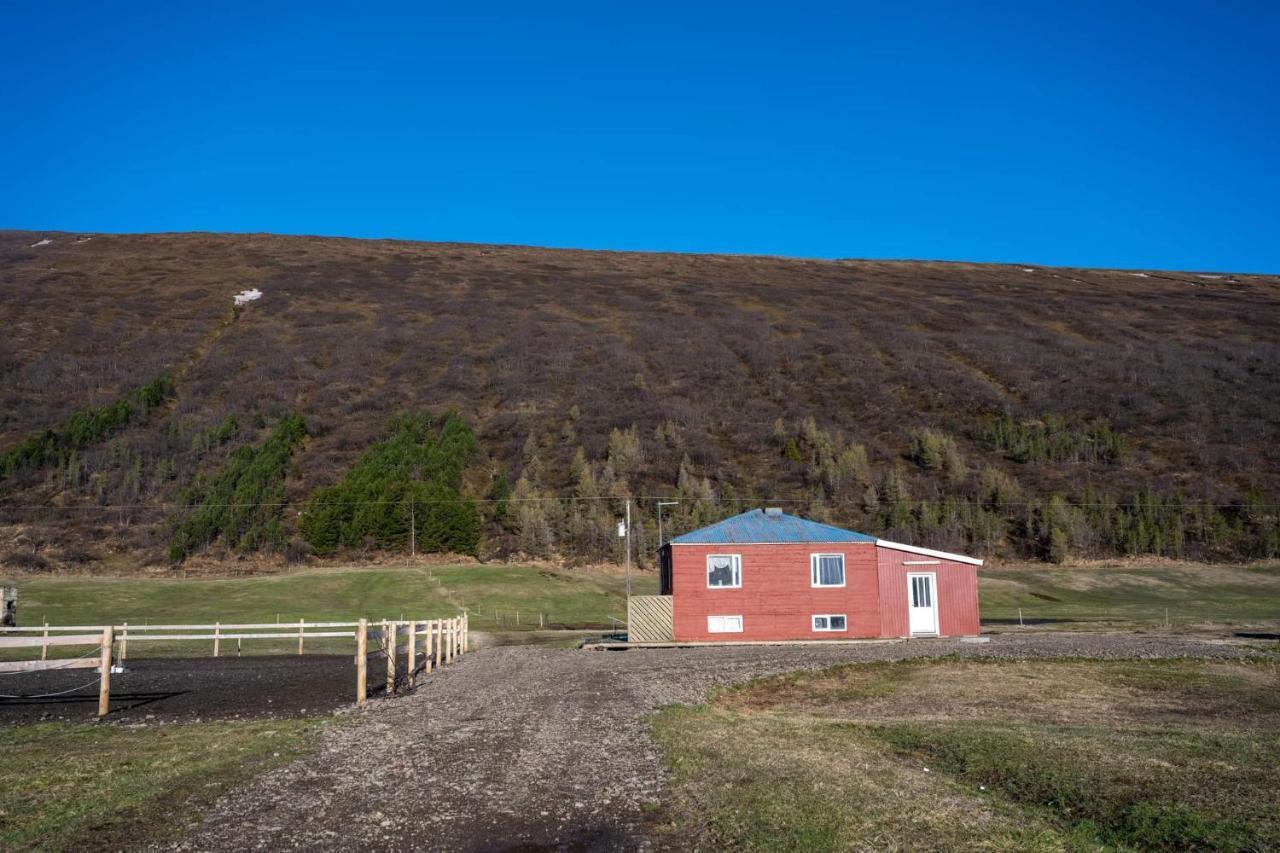 Sandhaugar Guesthouse Kiðagil Kültér fotó